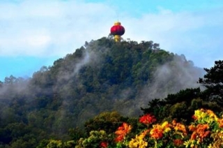 黃旗公園綠化養(yǎng)護