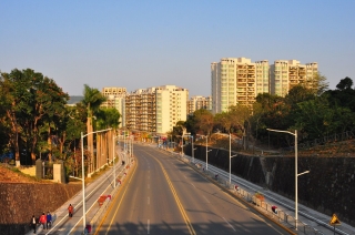 東莞市鳳崗鎮(zhèn)綠化養(yǎng)護采購項目（一標）